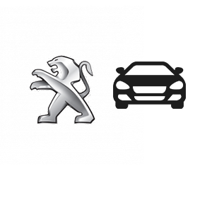 PEUGEOT 106 / 206 / 306 (GREY ROCKER COVER)